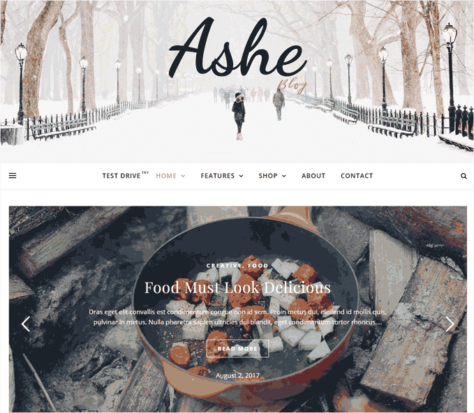 Ashe Free WordPress Theme