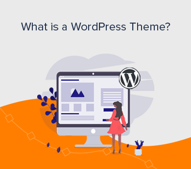 What is a WP Theme (Explained)
