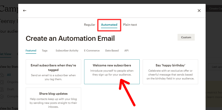 Creating Email Campaign to New Subscribers 