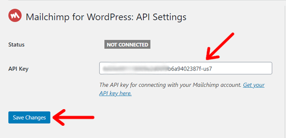 Enter Mailchimp API Key in WordPress Website