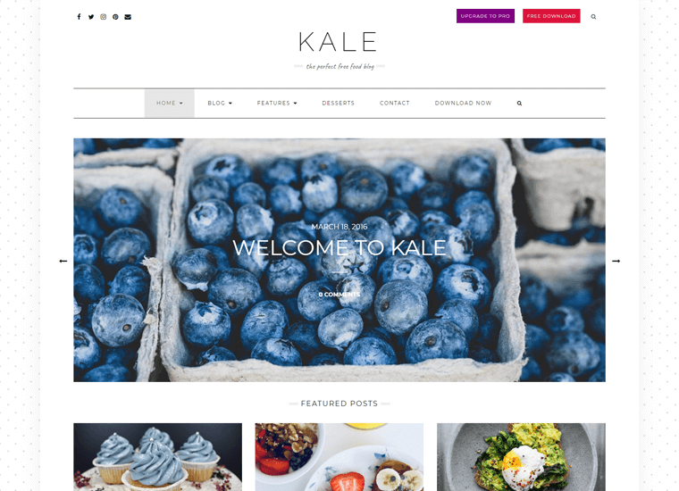 Kale Food WordPress Theme