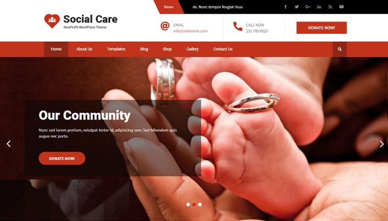 Social Care Lite Free WordPress Theme