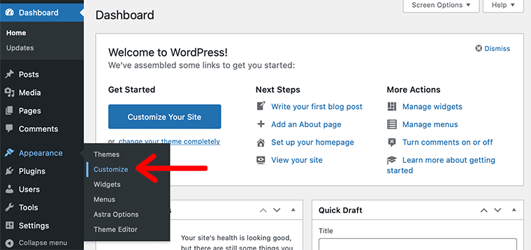 WordPress Customize Option