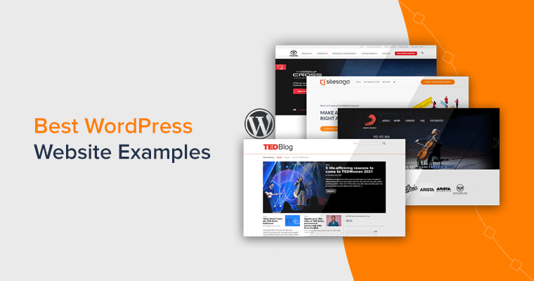 100+ Best WordPress Website Examples You Should Check Out