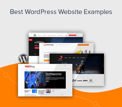 101 WordPress Website Examples to Get Inspired From
