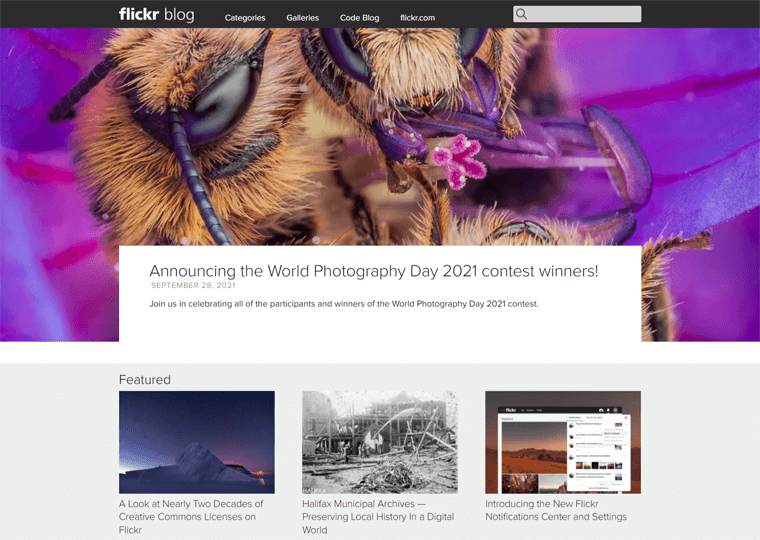Flickr Blog-best WordPress sites