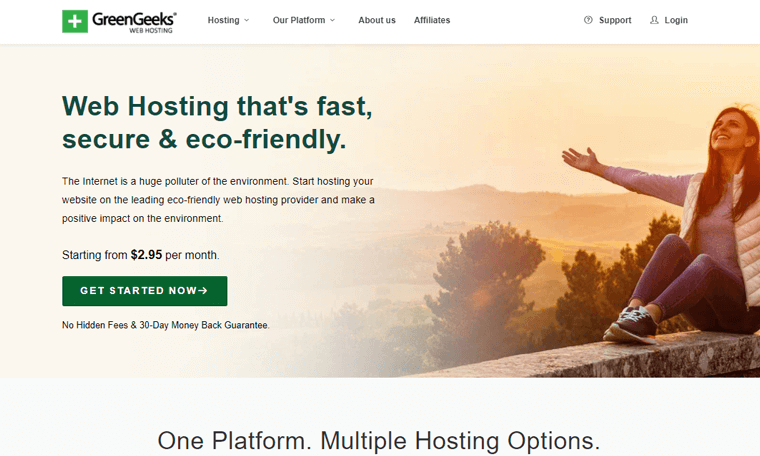 GreenGeeks  Web Hosting Services