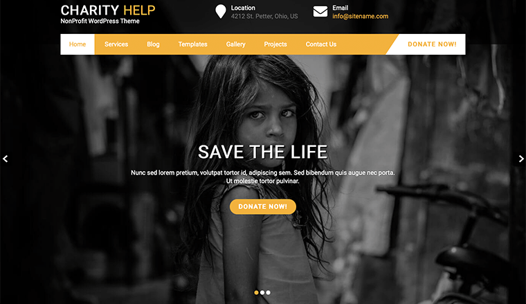 Charity Help Lite - WordPress Theme for Community Organizations