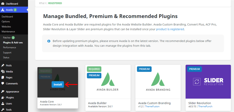 Hover your Mouse Over the Plugin & Click on Install