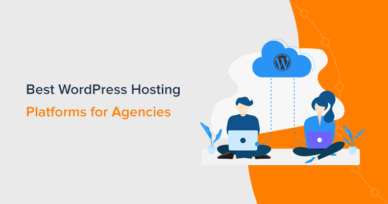 Best WordPress Hosting Services for Agencies