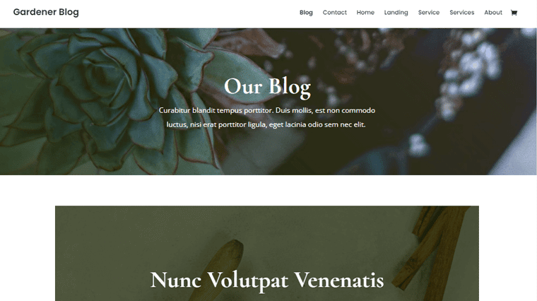 Divi Nature WordPress Theme