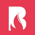 BlazeThemes Logo Icon