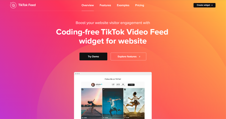 TikTok Feed WordPress Plugin