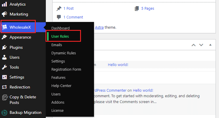 Click on the User Role Menu Option