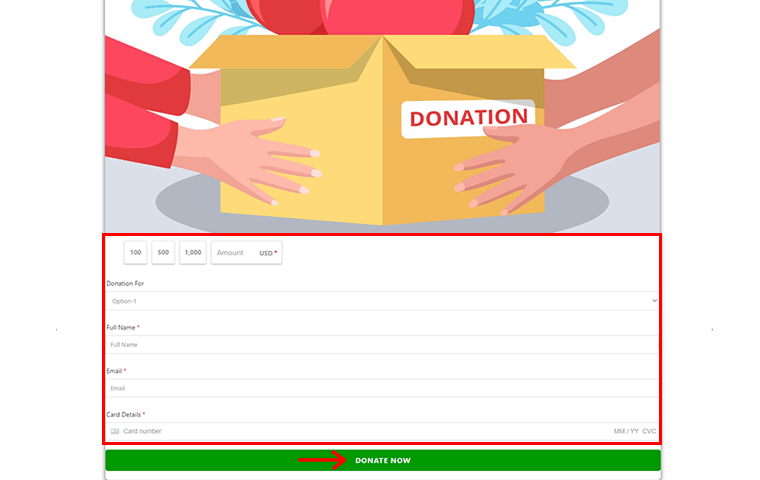 Fill Out the Donation Form & Click on Donate Now - Accept Donations on WordPress Site