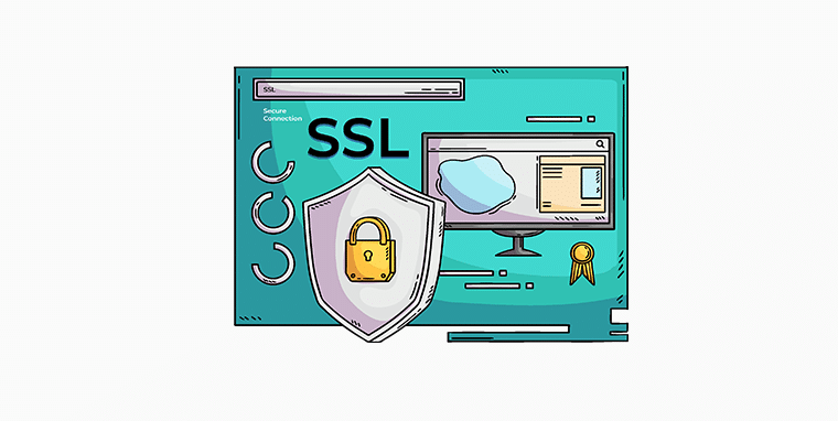 SSL Certificate On A Website