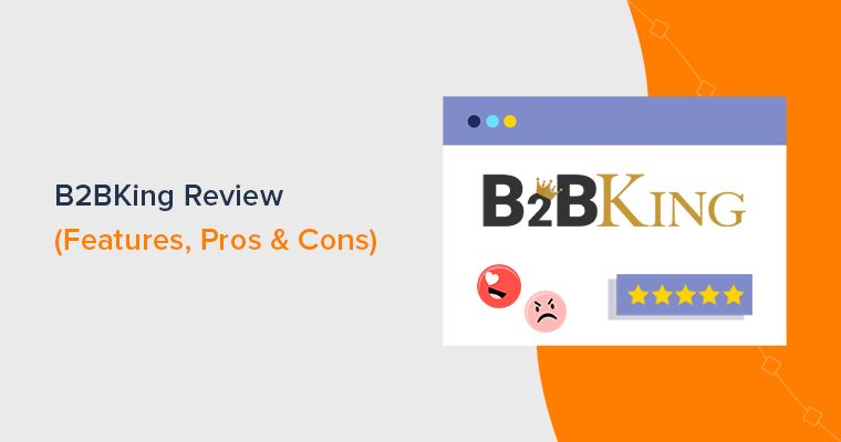 B2B Plugin Review