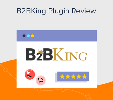 B2B Plugin Review