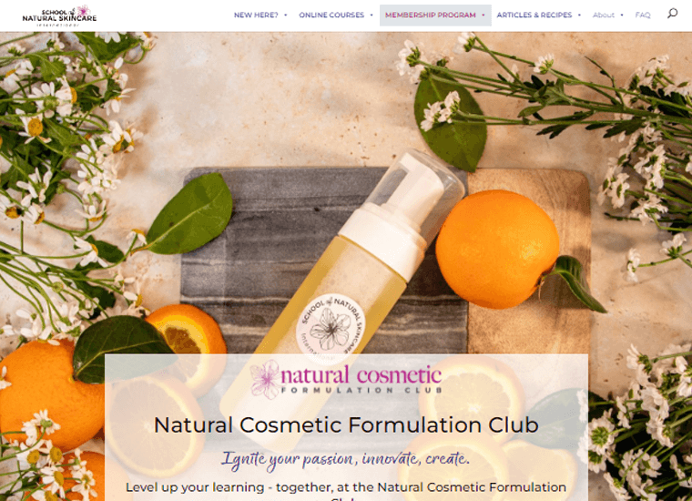 School Of Natural Skincare WordPress Sites Example