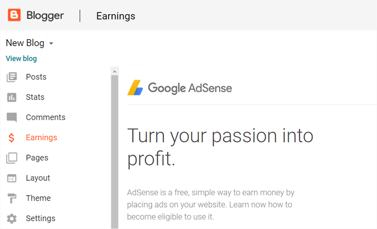 Google AdSense Monetization