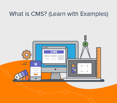What is CMS? (Explained with Examples)
