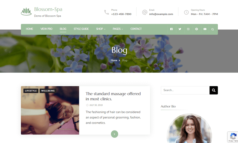 blossomspa-healthblog-theme