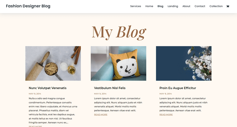 Divi Theme WordPress Themes for Fashion Blog