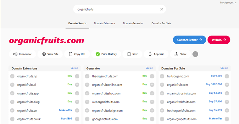 Instant Domain Search Results