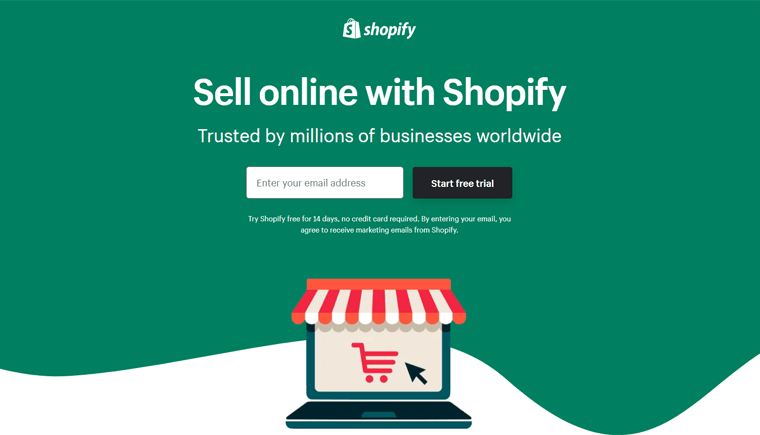 Shopify Landing Page Website Example