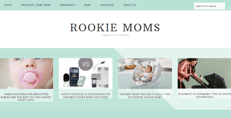 Rookie Moms Blogs Types of Blogs for Parenting Blog Example 