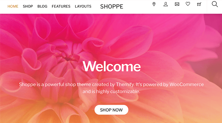 Shoppe Themify Theme