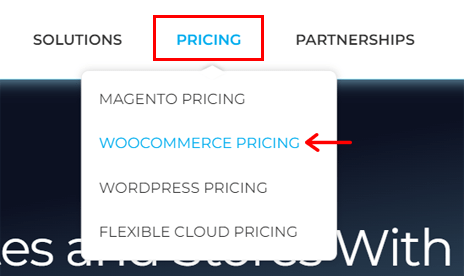 Select WooCommerce Pricing Menu
