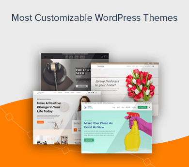 Most Customizable WordPress Theme