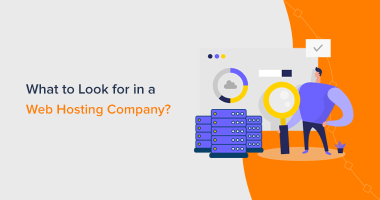 What to Look for in a Web Hosting Company