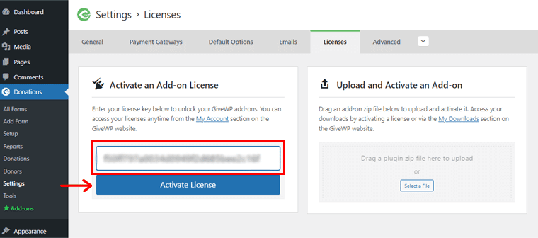 Paste the License Key & Click on Activate License Option