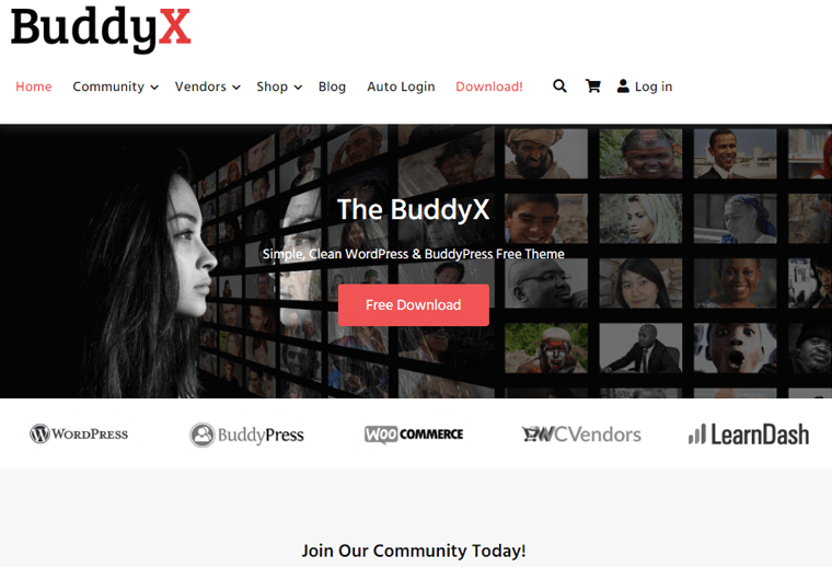 BuddyX Community WordPress Theme