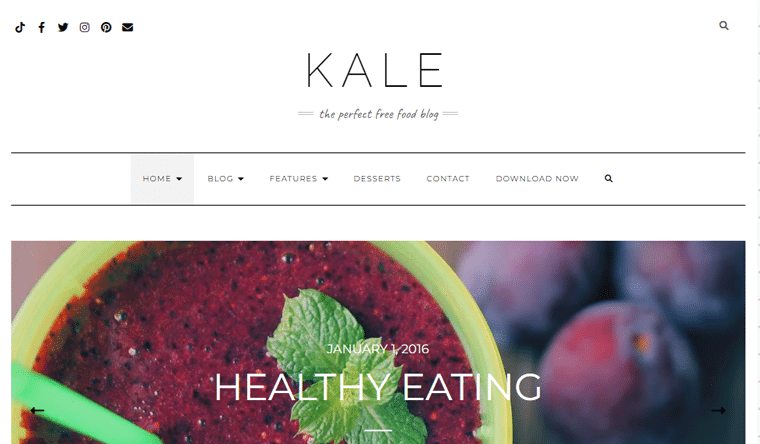 Kale Best WordPress Blog Theme