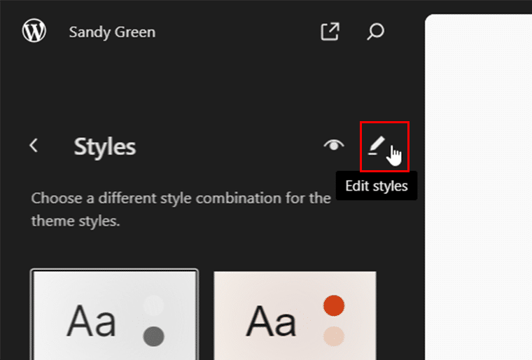 Click on Edit Styles Icon